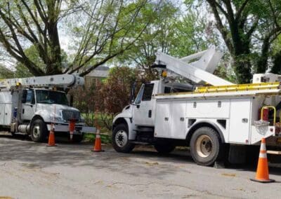 bucket trucks