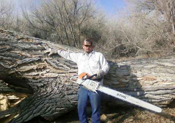 certified tree cutting professional